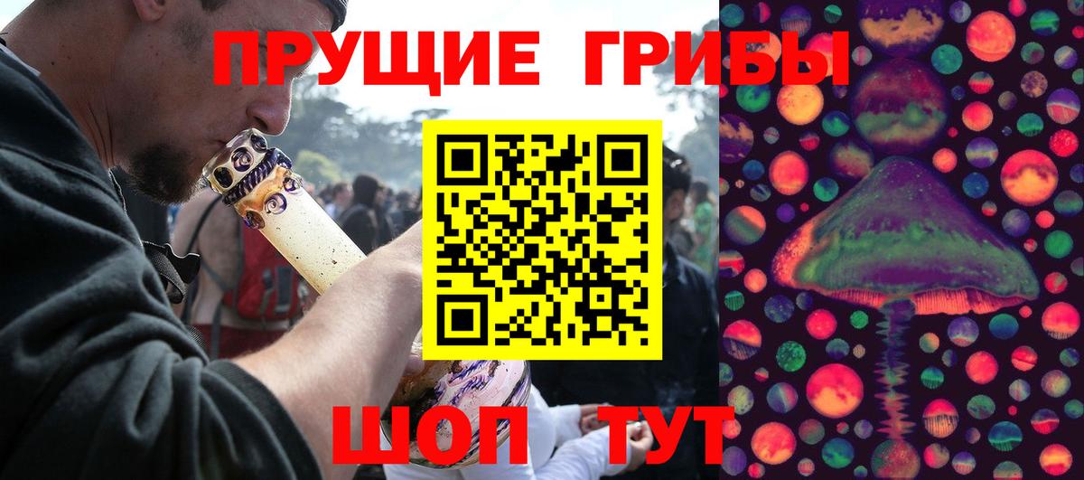 Галлюциногенные грибы Cubensis  Вход с VPN  Ахтубинск 